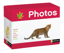 Fotobox - Zvieratká