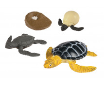 Životný cyklus - Morská korytnačka