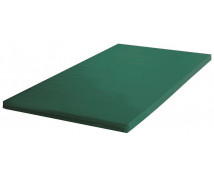 Gymnastická žinenka RG100 - 150 x 100 x 6 cm - zelená
