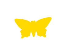 Dierkovače Motýľ