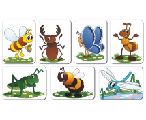 Zvieratká - hmyz a iné