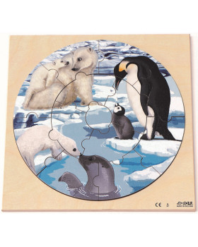 Puzzle - Divoké zvieratká - V polárnych oblastiach