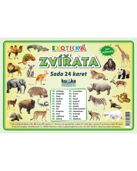 Precvičovacie karty - Zvieratá - exotické-česká verzia