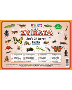 Precvičovacie karty - Zvieratá - hmyz-česká verzia