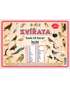 Precvičovacie karty - Zvieratá - vtáky-česká verzia