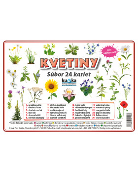 Precvičovacie karty - Kvetiny-slovenská verzia