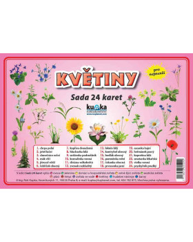 Precvičovacie karty - Kvetiny - česká verzia
