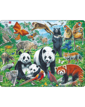 Puzzle - Zvieratá v Ázii