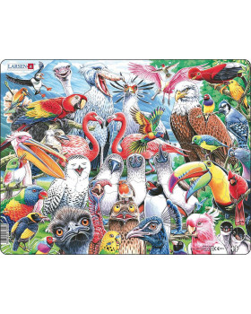 Puzzle - Vtáky sveta