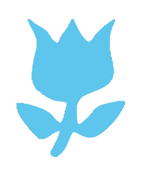 Dierkovač 3,2cm - tulipán