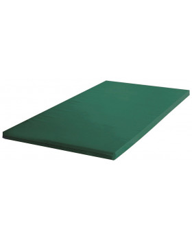 Gymnastická žinenka RG100 - 200 x 100 x 6 cm - zelená