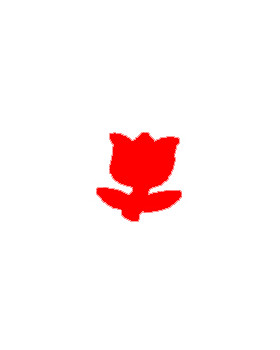 Dierkovače Tulipán