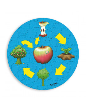 Kolobeh života - Rast jablka