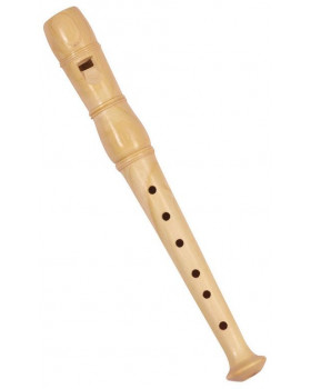 Zobcová flauta.